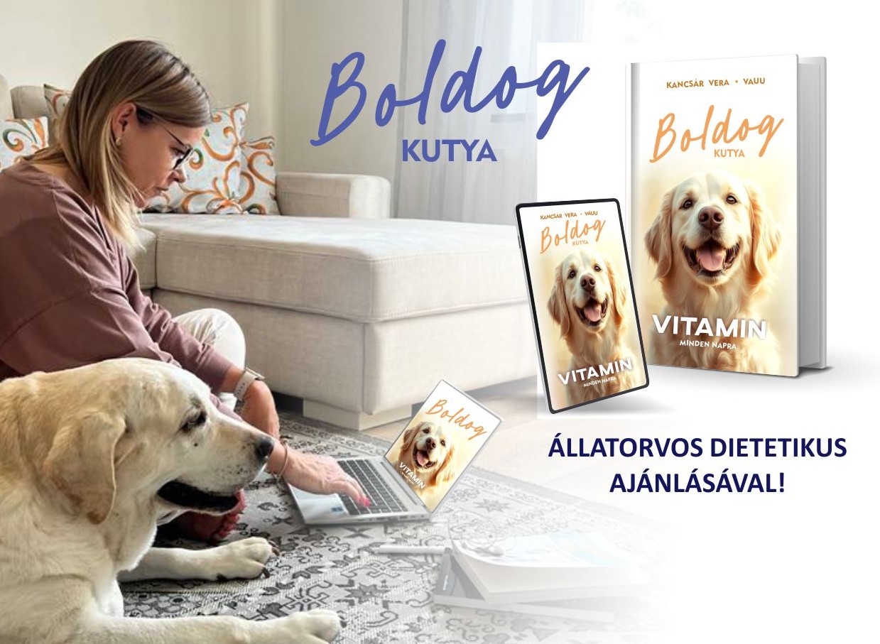 e-book_csali_mobil2