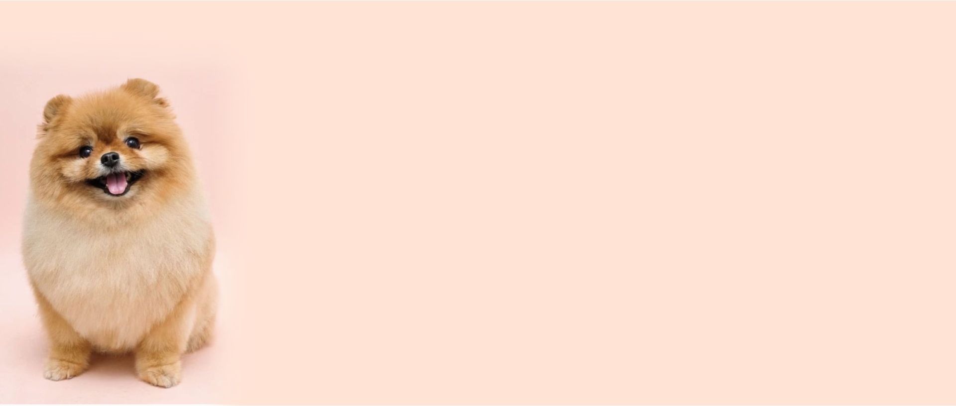 macko_banner_beauty