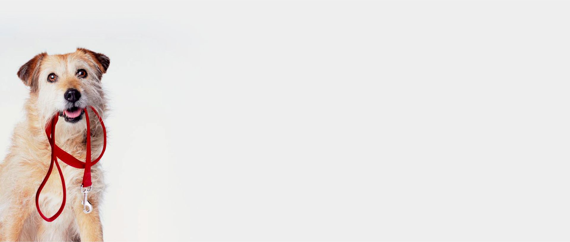 poraz_banner_running