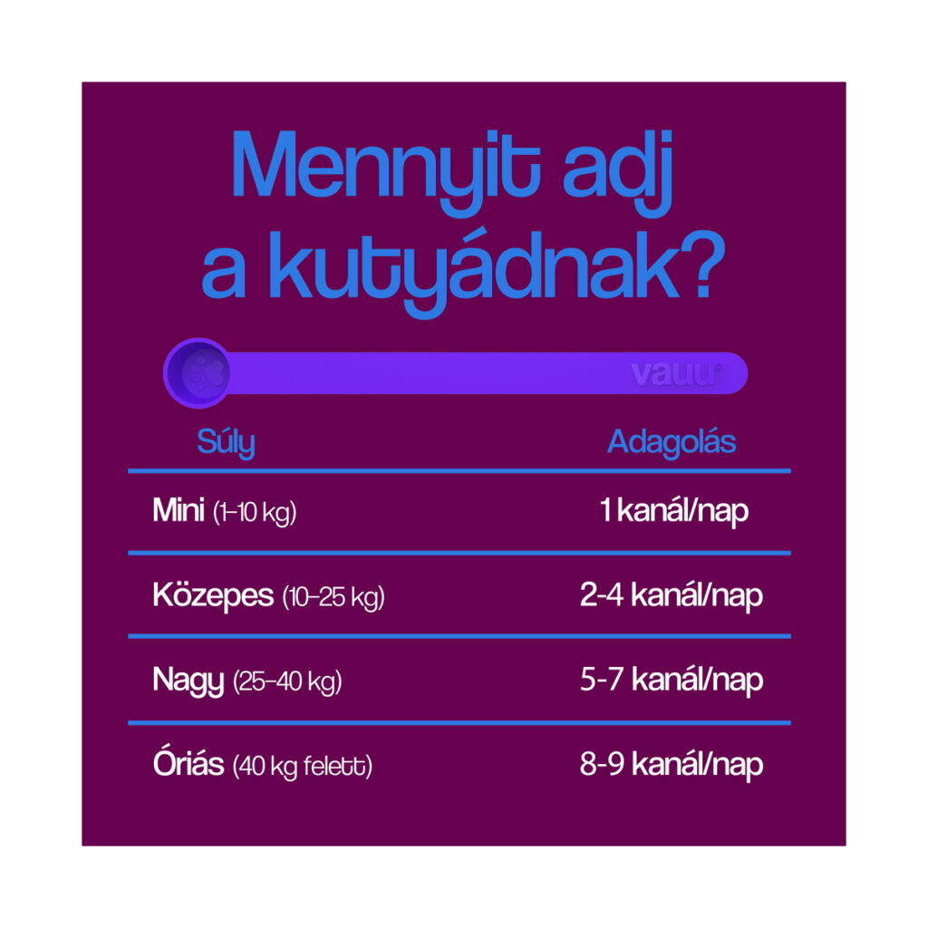 Beauty Kutyavitamin
