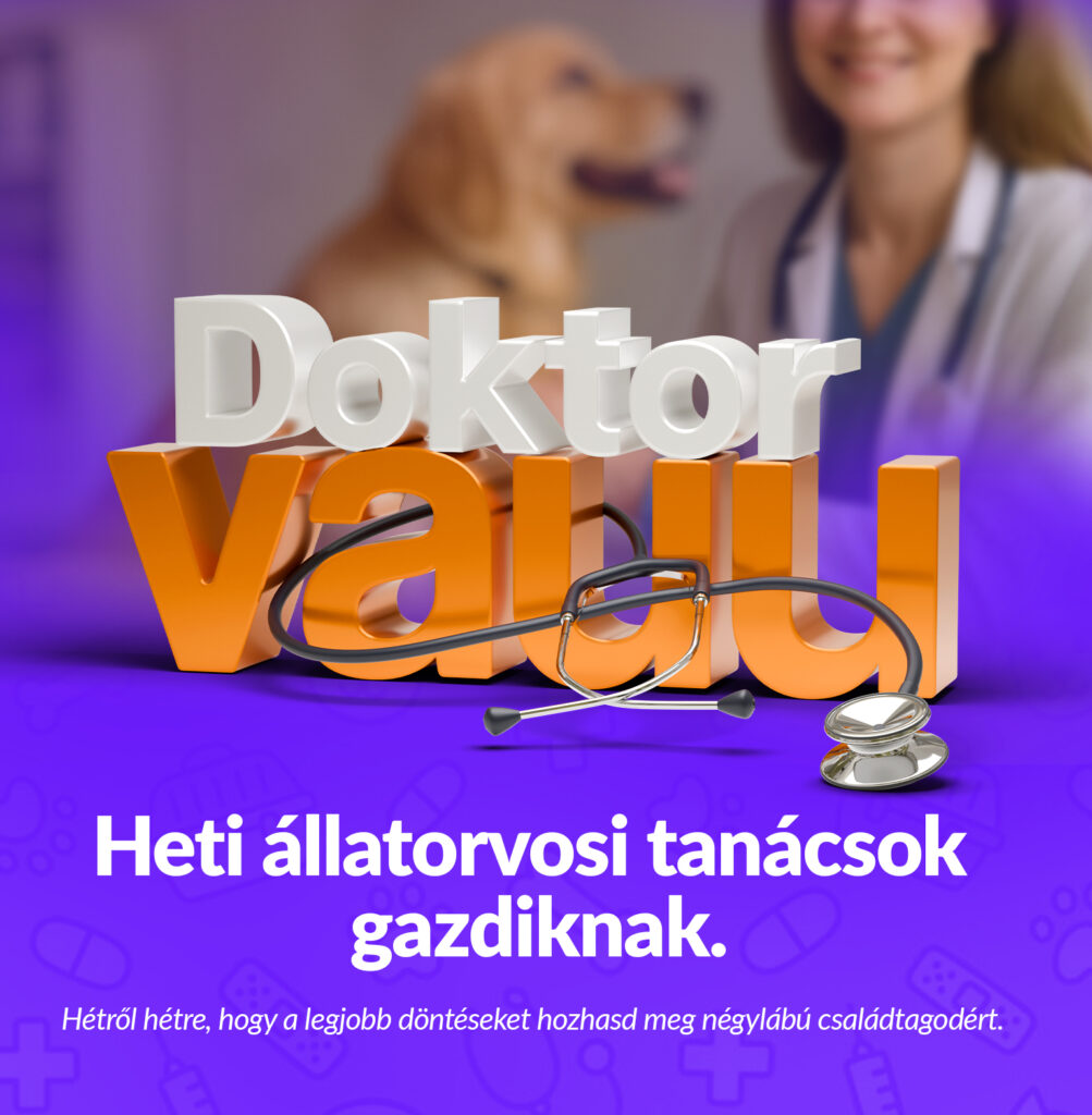 1 havi Online Állatorvosi Prémium Klubtagság
