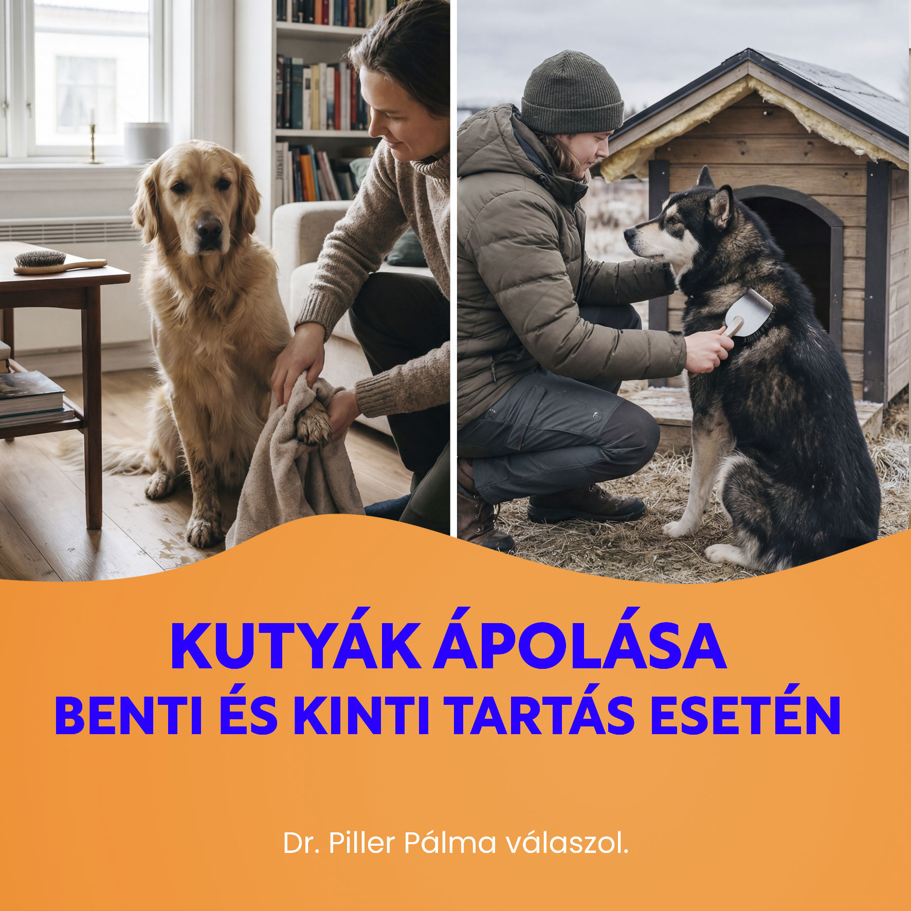 Kutyák ápolása benti és kinti tartás esetén