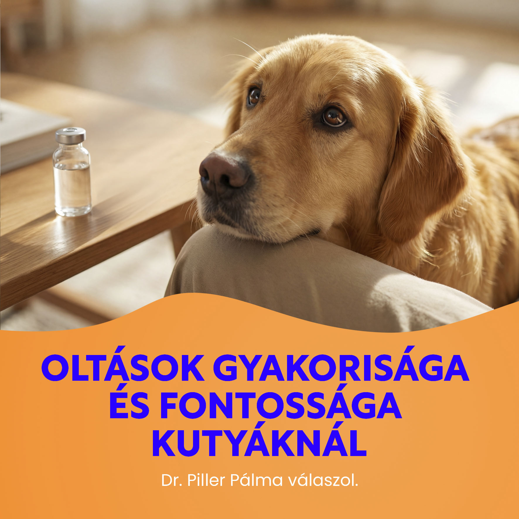 Oltások gyakorisága kutyáknál