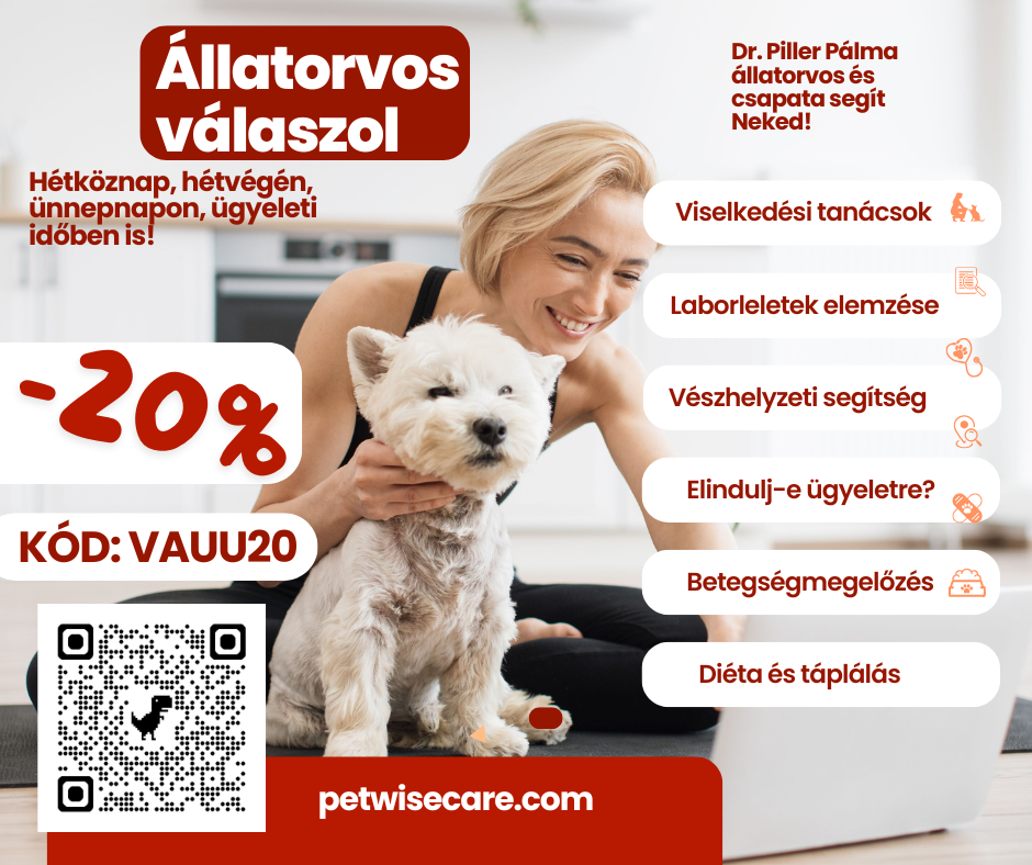 PetWiseCare Klubtagság – Állatorvos Online